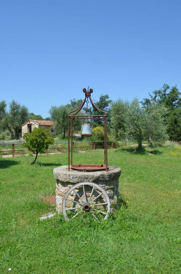 La Casina Degli Olivi Konuk evi Seggiano Dış mekan fotoğraf